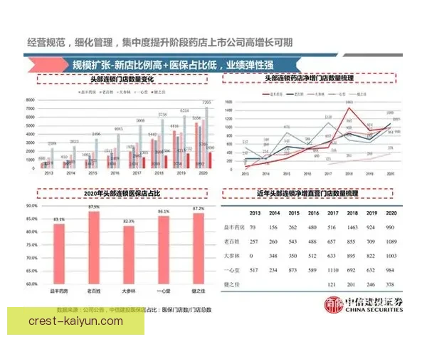 尼斯球队结构分析：阵容稳定性与竞争力增强的趋势显现