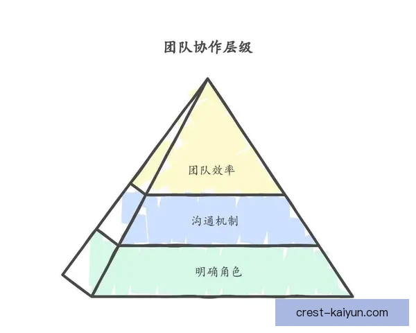 法马球队结构分析：团队协作与战术布局保持稳定性